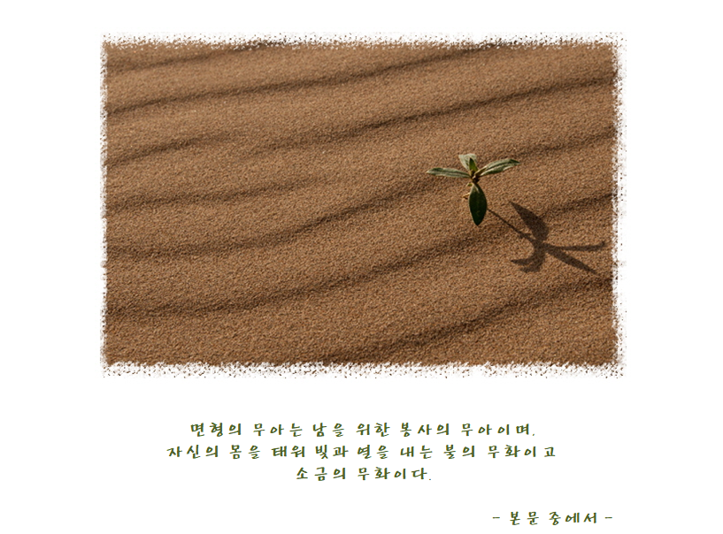 무아의 기쁨.png