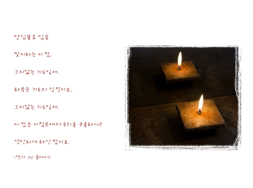 양심불.png