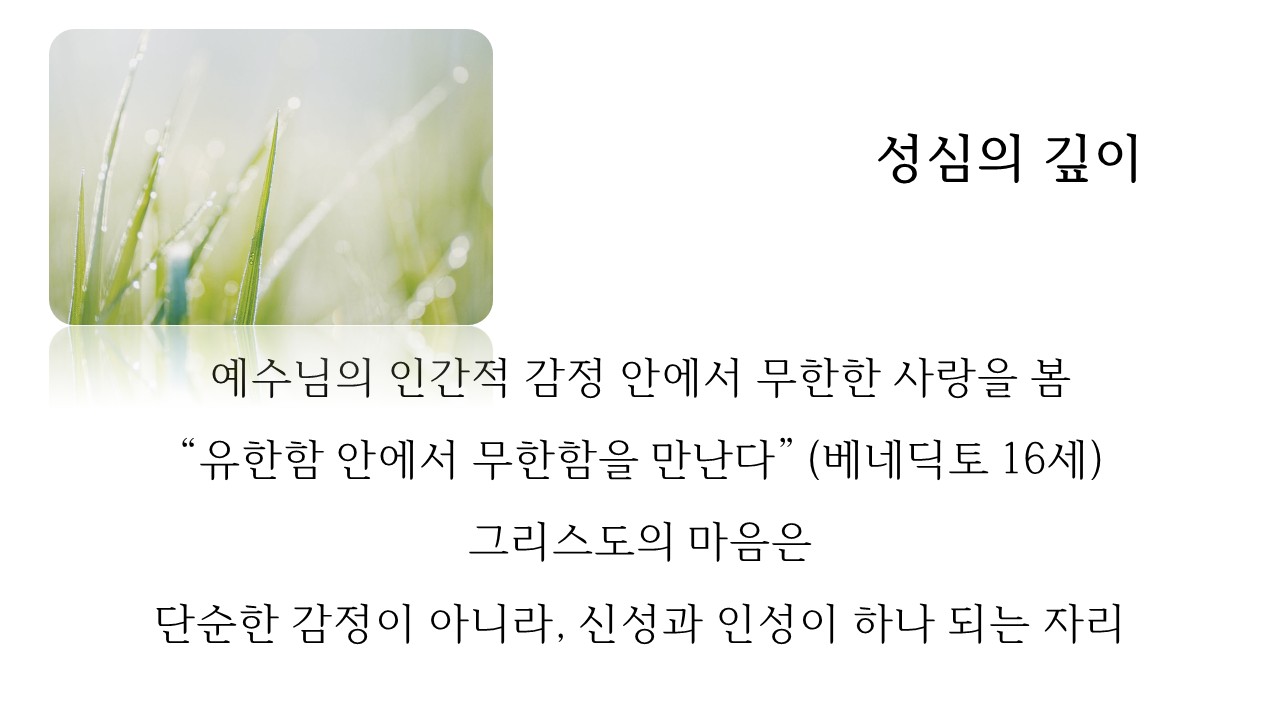 슬라이드1.JPG