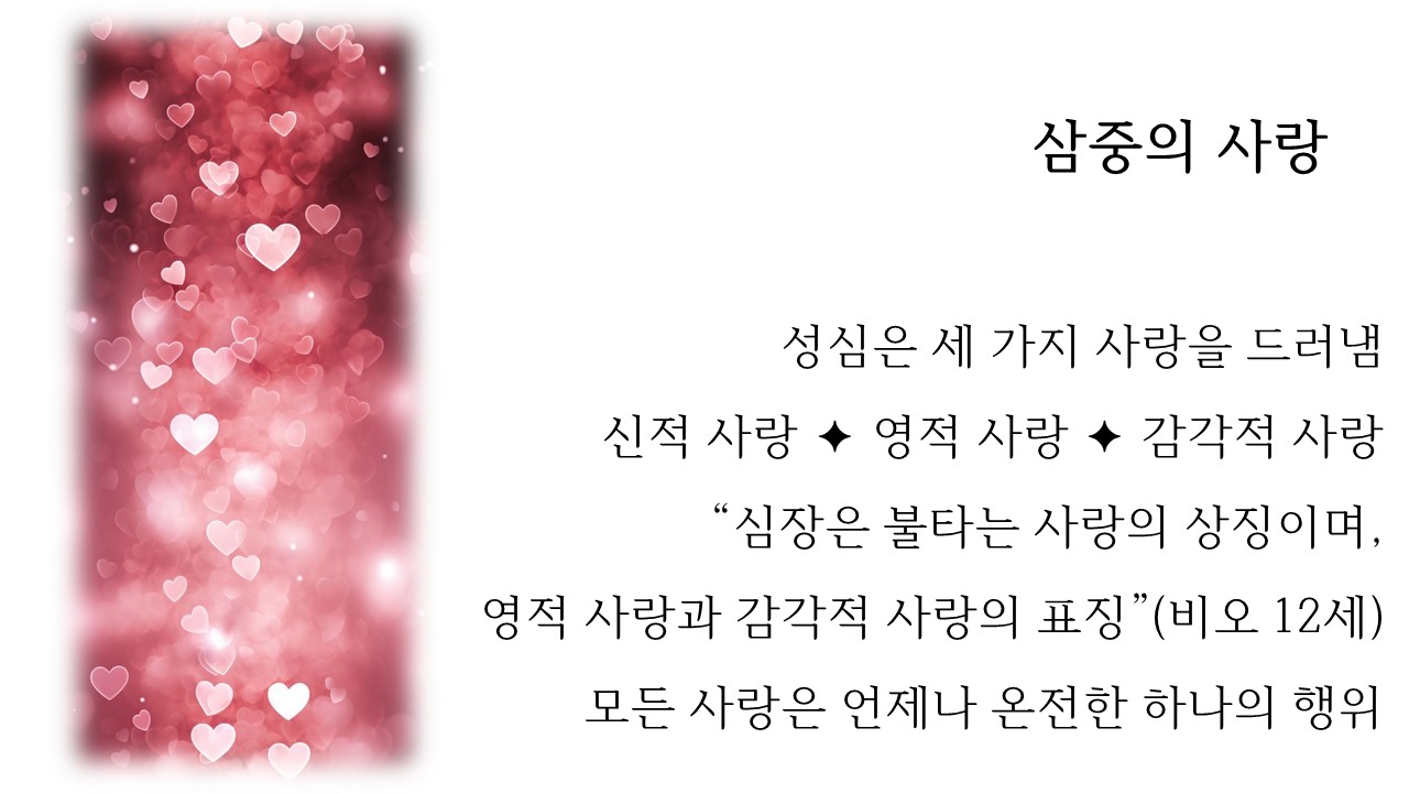 슬라이드2.JPG