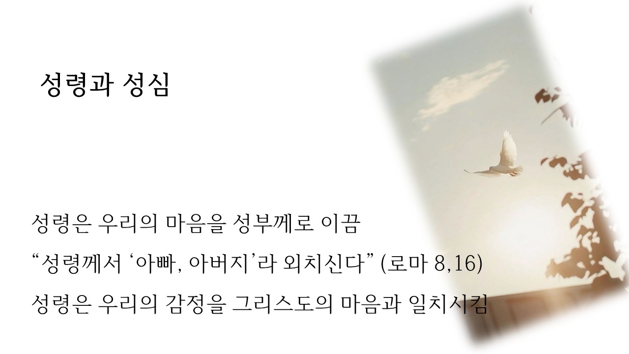 프레젠테이션4.jpg