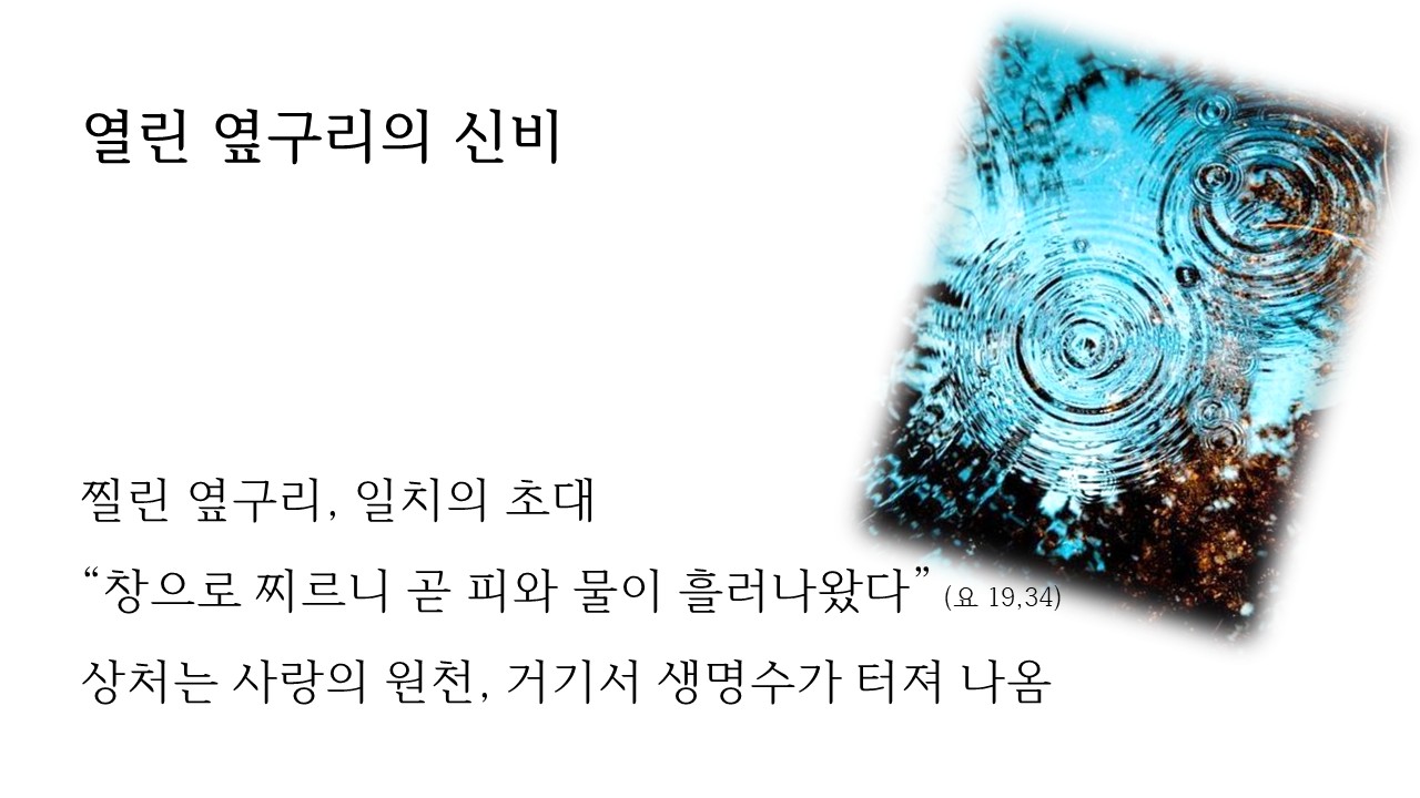프레젠테이션3.jpg