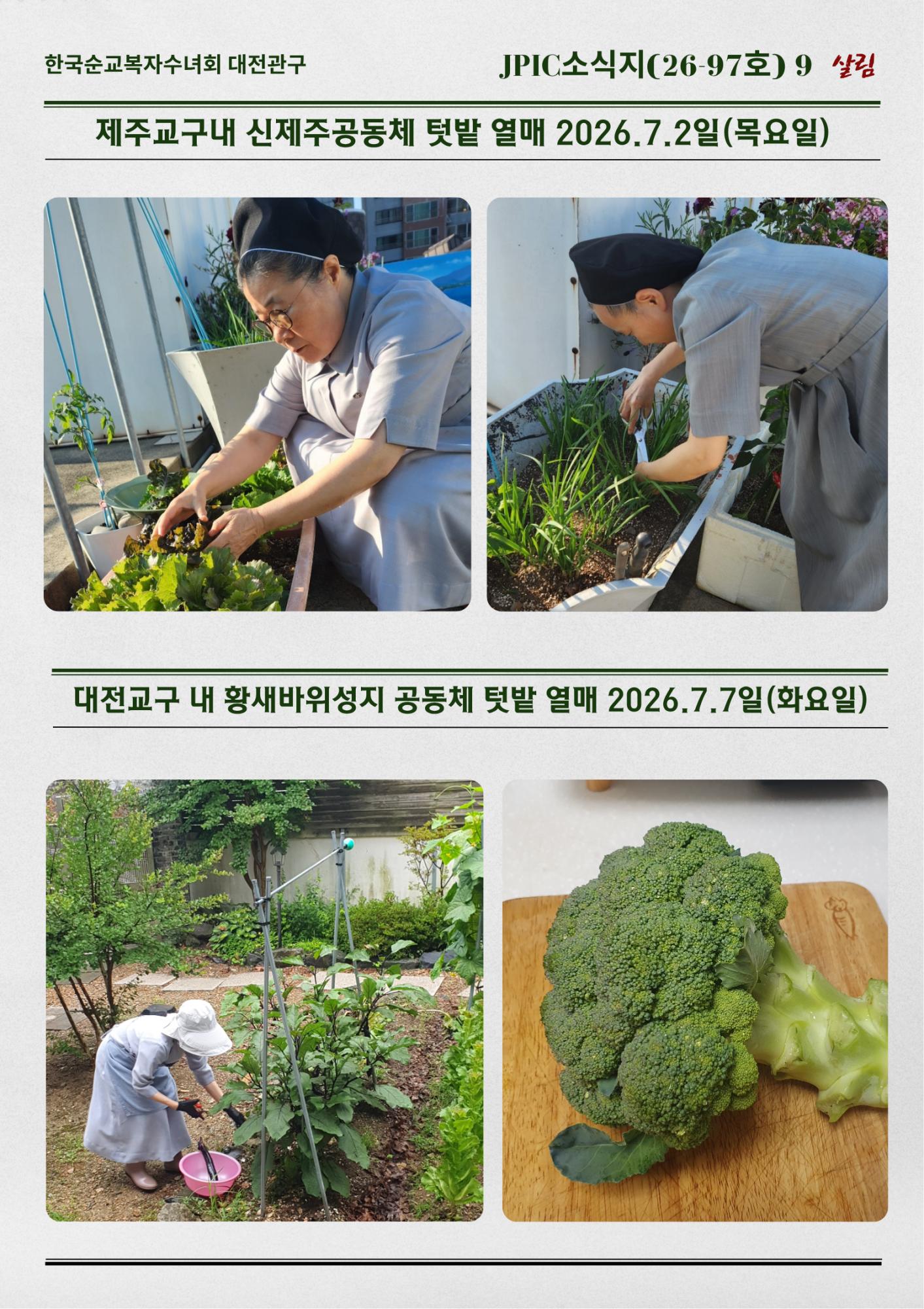 JPIC소식지(26-97호)5월에서 7월초 공동체 활동이야기(9).png.jpg