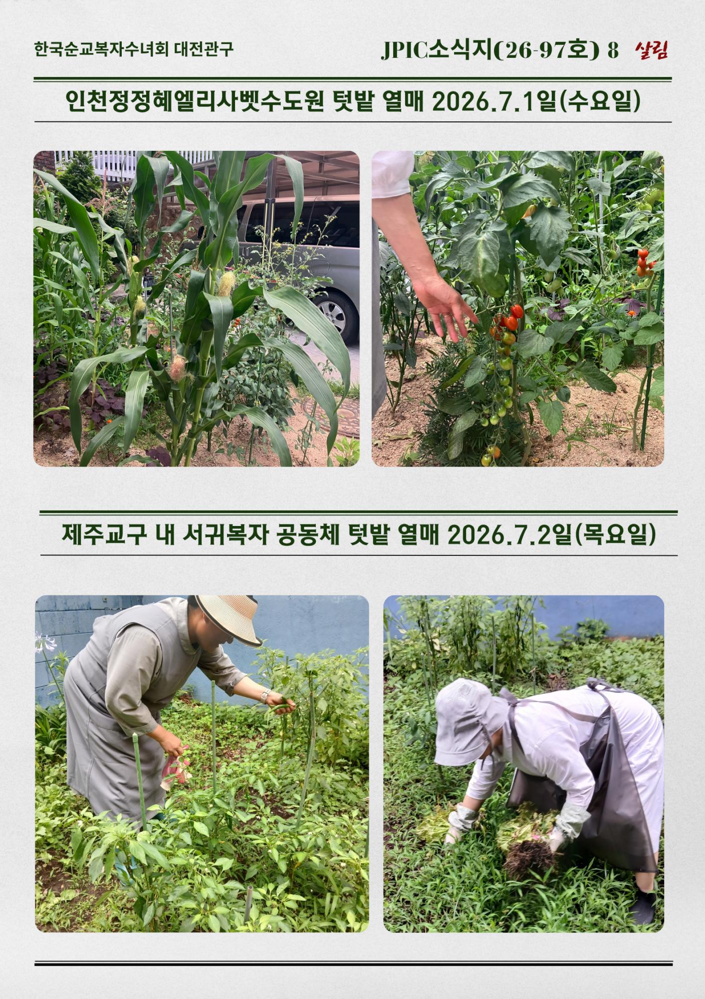JPIC소식지(26-97호)5월에서 7월초 공동체 활동이야기(8).png.jpg