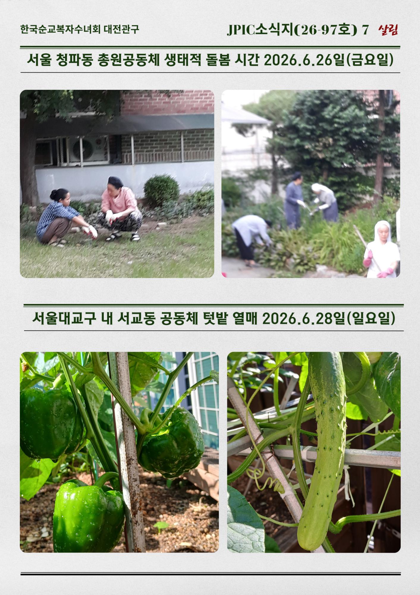 JPIC소식지(26-97호)5월에서 7월초 공동체 활동이야기(7).png.jpg
